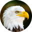 EAGLE, California, USA